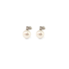 18K White Gold Akoya Pearl Earrings